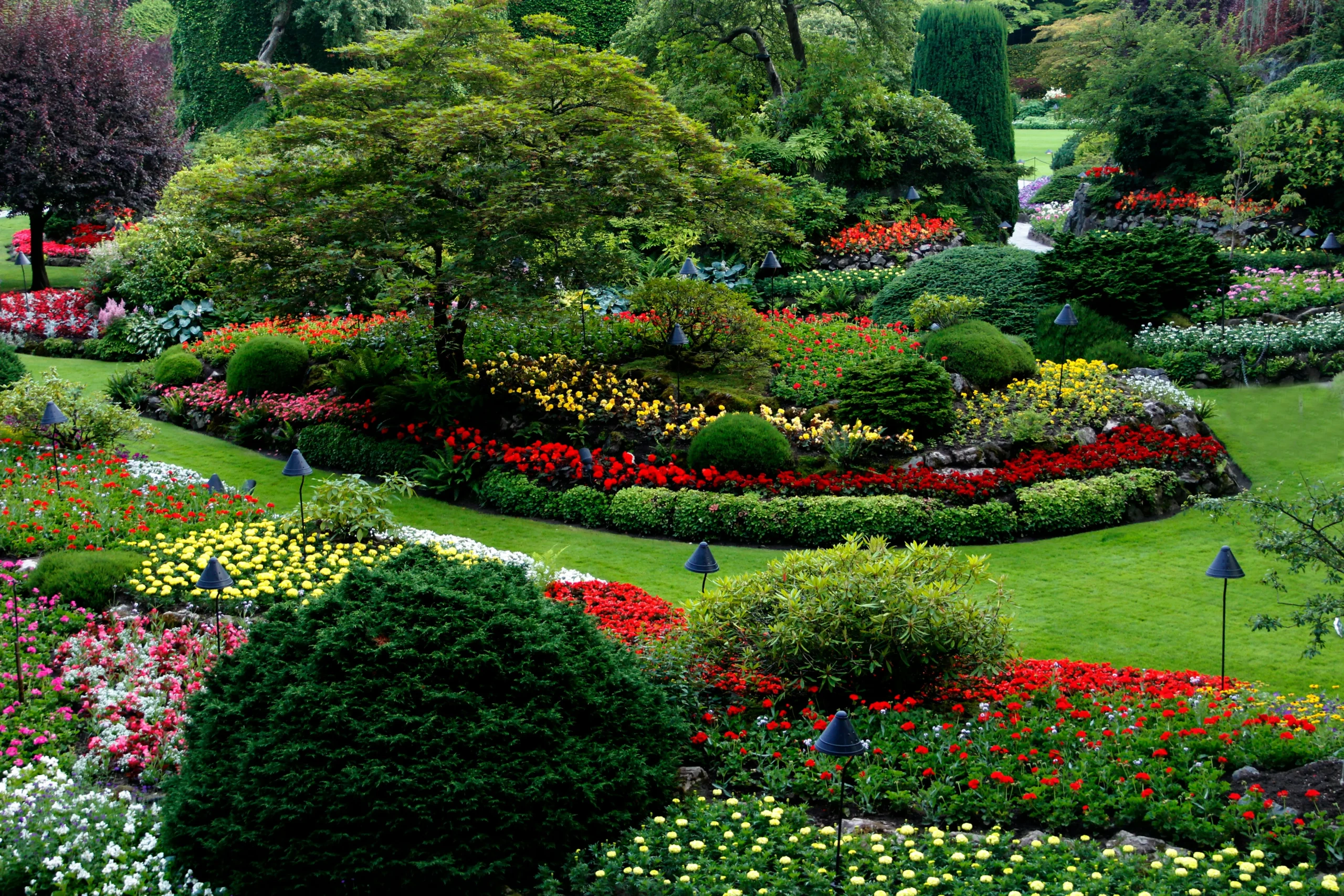 The Best Landscaping Company in London, Ontario