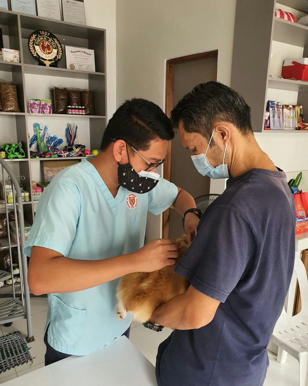 The Best Veterinarian in London, Ontario